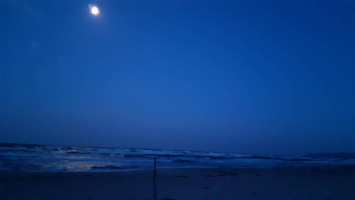 2026 Foto Clara Tanz Teterow.docx