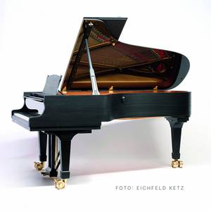 Steinway Flügel Flügel EBT