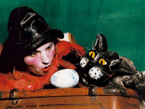 Kater Zorbas kater zorbas 01