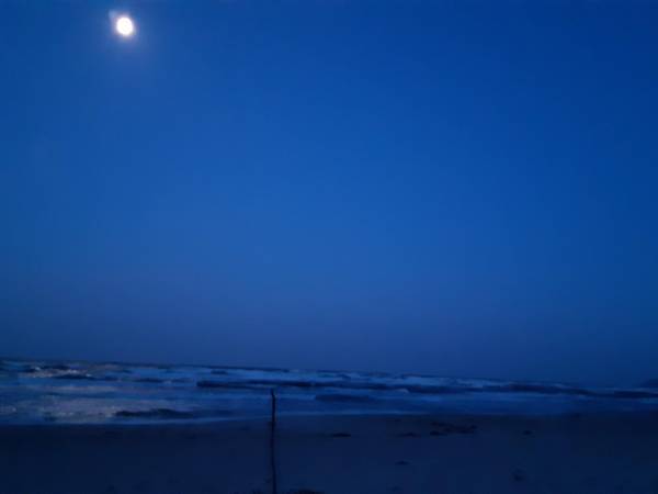 2026 Foto Clara Tanz Teterow.docx