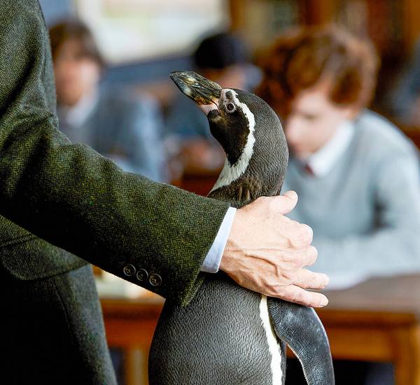 csm 13 DPML K0A2368 Tobis Film Lucia Faraig 0dbf3616a4