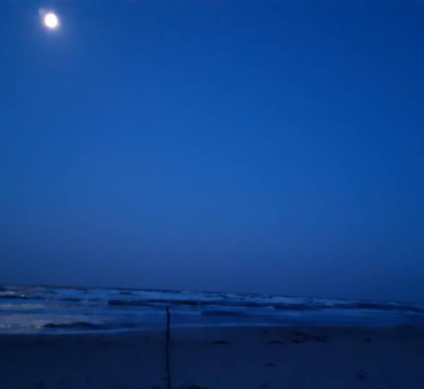 2026 Foto Clara Tanz Teterow.docx