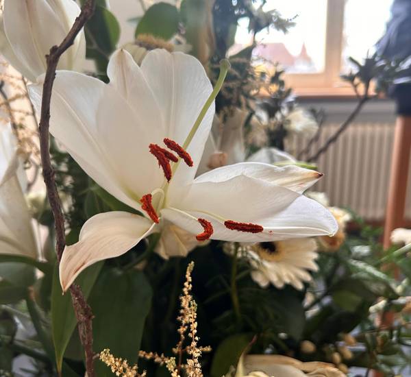 Lilie im Trauergesteck