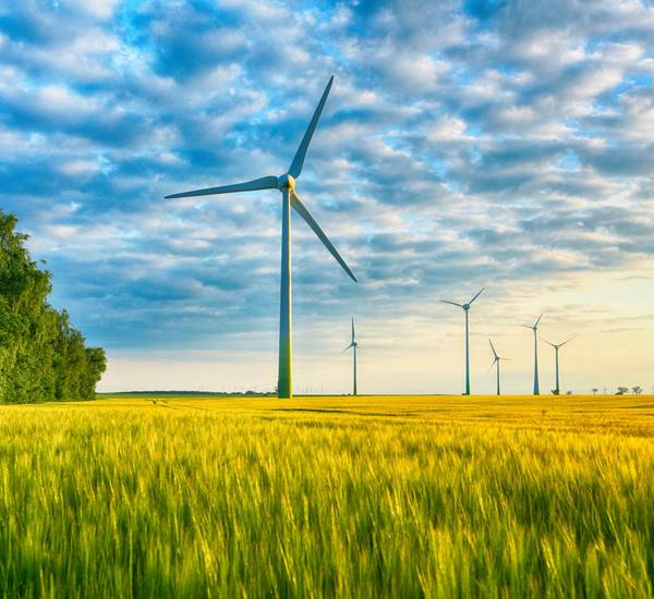 Windrad auf einem Feld