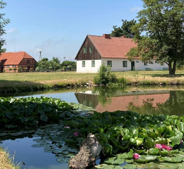 Alte Thünenscheune mit Teich und Seerosen